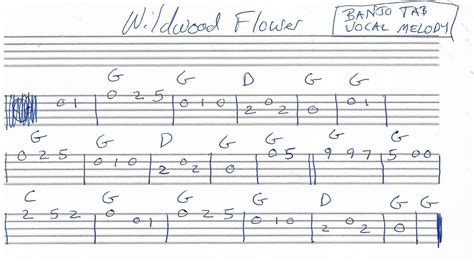  Wildwood Flower – Uma melodia nostálgica que ecoa com a doçura de um banjo e a melancolia de uma balada